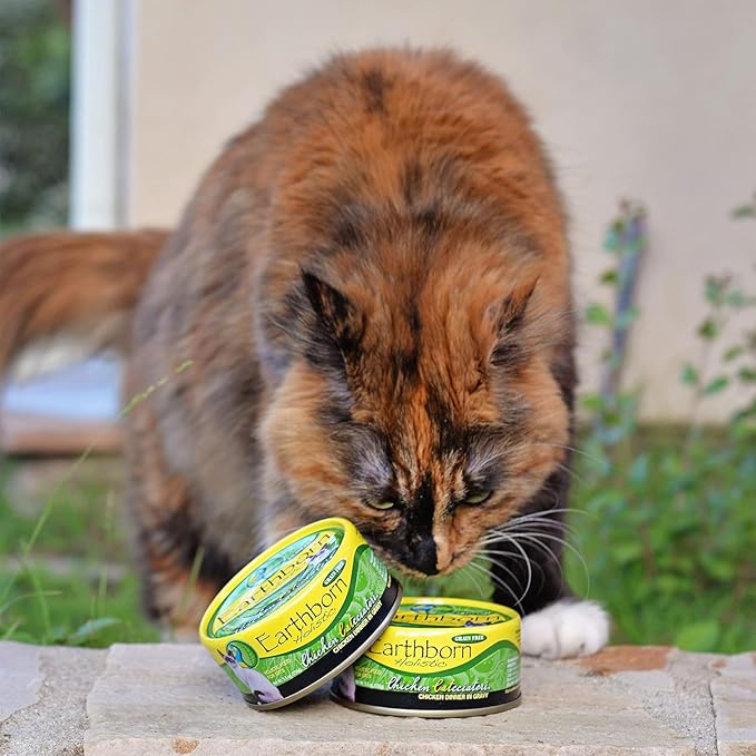 Earthborn-Holistic Cat Food Variety Pack - 4 Flavors: Catalina Catch, Harbor Harvest, Chicken Catcciatori, & Monterey Medley