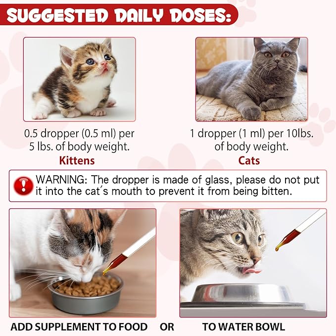 Iron Supplements for Cats, Liquid Iron for Cats, Liquid Iron Drops with Folate and B12 Supports Anemia, Low Enery Levels and Lethargy, Improve Energy Levels & Vitality, Cat Supplement