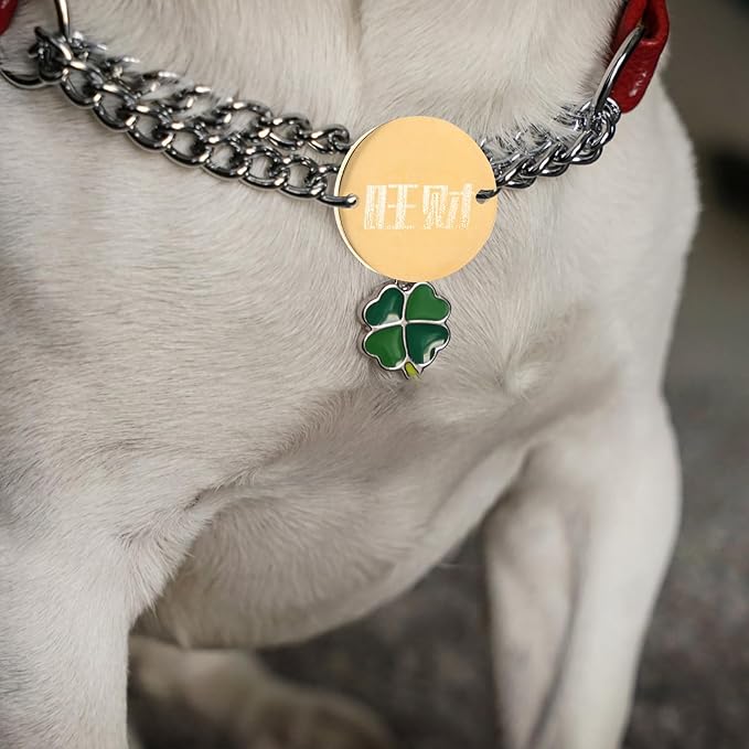 6pcs Stainless Steel Round Id Tags Double Hole Polished Metal Stamping Blanks 20mm for Pet Collar Engraving, Anti-Lost Dog Name Tags DIY Supplies
