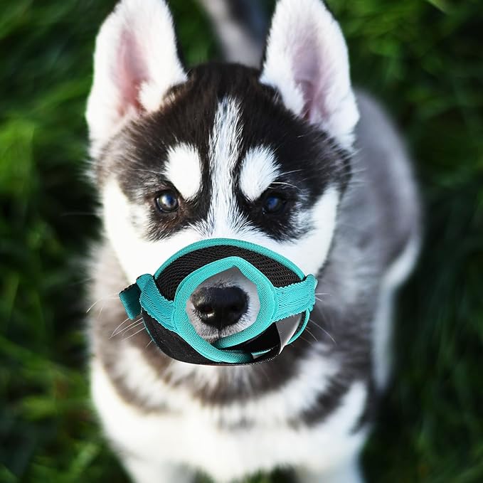 Adjustable Anti-bite Dog Muzzle Cotton Dog Mouth Cover for Outdoor Use Puppy Biting Deterrent Pet Supply (Green, L)
