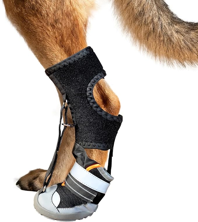 Light Weight Dog Boot with Adjustable Straps Corrective Pet Shoe Dog Paws Protectors Safety Dog Winter Outdoor Supply