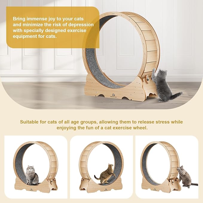 Cat Wheel, 43" L Large Cats Exercise Running Wheel, Cat Treadmill for Indoor Cats