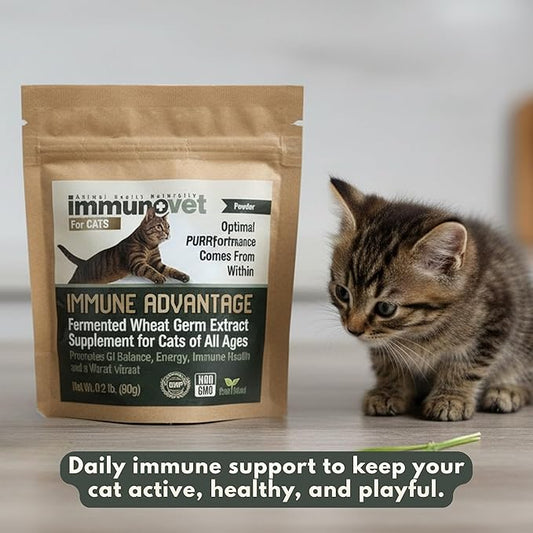 Cat Supplement Powder with Fermented Wheat Germ Extract (FWGE) – Supports Immune System, Gut Health & Energy – Natural, Non-GMO, Vet-Trusted Formula for All Cat Ages – 90g | Immunovet