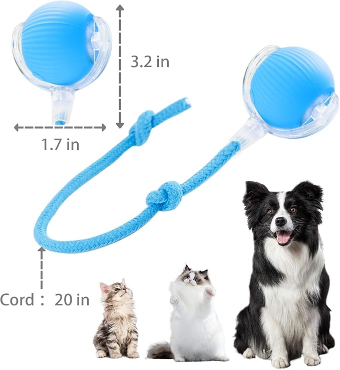 Interactive Cat Toys Ball for Indoor Cats, Interactive Rolling Small Dog Cat Toys Automatic Self Moving, 360°,Electric Balls，Fast Rolling，Smart Automatic Rolling Pet Ball (Blue)