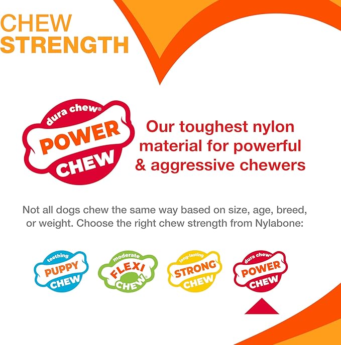 Nylabone Power Chew Classic Bone Chew Toy for Dogs, Durable Dog Toys for Aggressive Chewers, Bacon Flavor, X-Small/Petite - Up to 15 lbs. (1 Count)