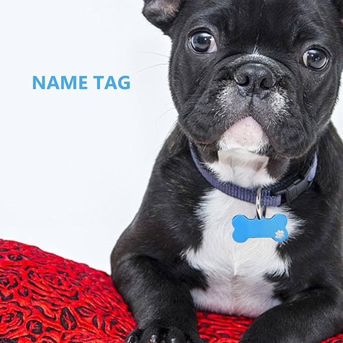 4pcs Blue Bone Hollow Stainless Steel Dog Tag Blanks for Puppy Collar Custom Engraved Pet Name Id Tags Sturdy Metal Puppy Supplies