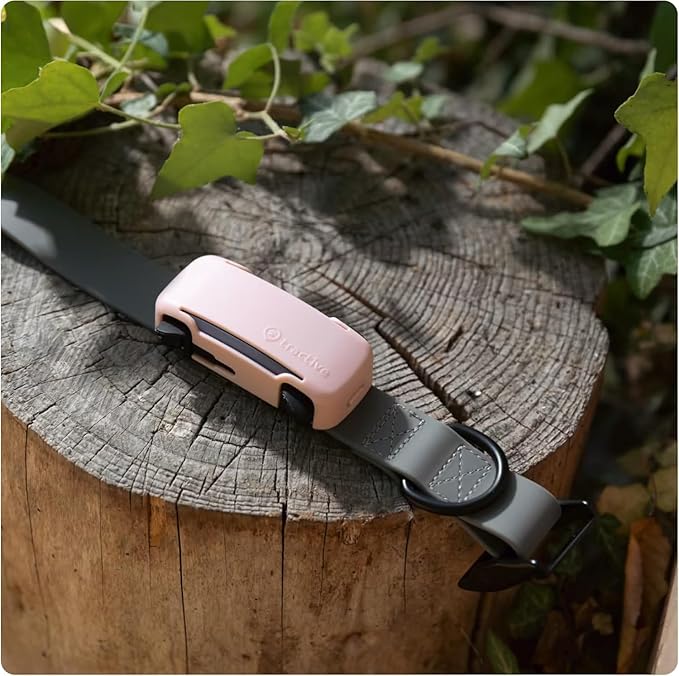 Tractive GPS Dog Tracker (2025 Release) Real-time Pet Location Tracker | Health & Wellness Alerts | Virtual Fence for Dogs | Bark Monitoring (Mint w/Pink Cover)