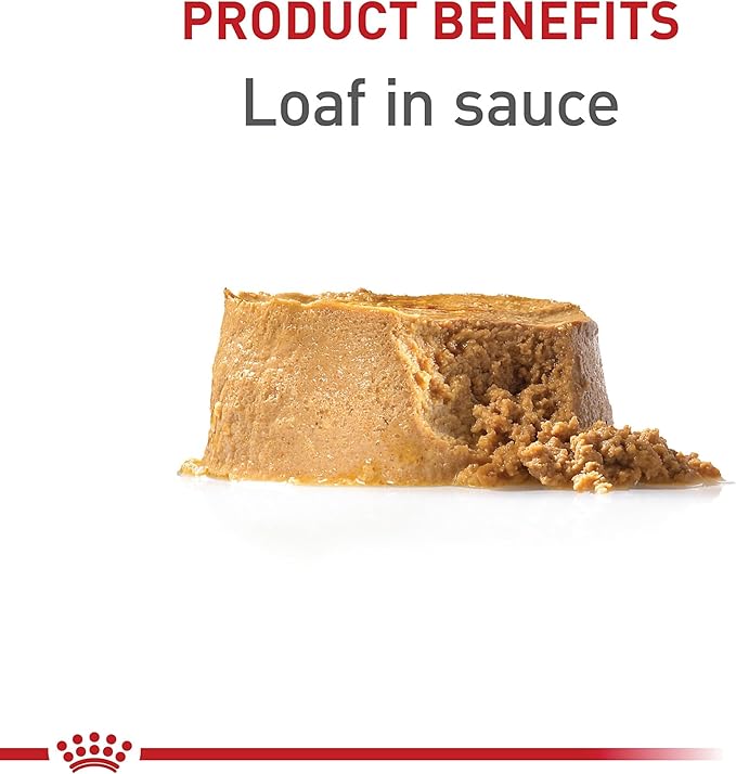 Royal Canin Canine Health Nutrition Puppy Loaf in Sauce Dog Food, 5.2 oz (Pack of 12)