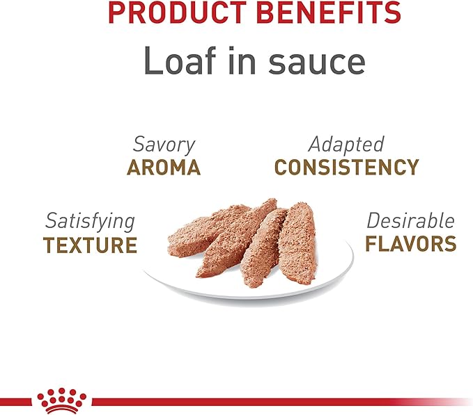 Royal Canin Feline Health Nutrition Aging 12+ Senior Loaf in Sauce Cat Food, 5.1 oz (Pack of 24)