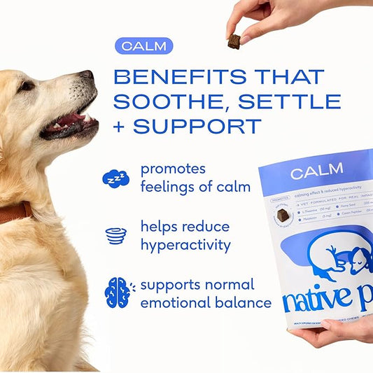 Native Pet Calming Chews for Dogs - Melatonin for Dogs Anxiety Relief - Grain Free All Natural Hemp Calming Treats & L-Theanine Helps Manage Stress & Separation Anxiety - Puppy Sleep Aid - 30 Chews