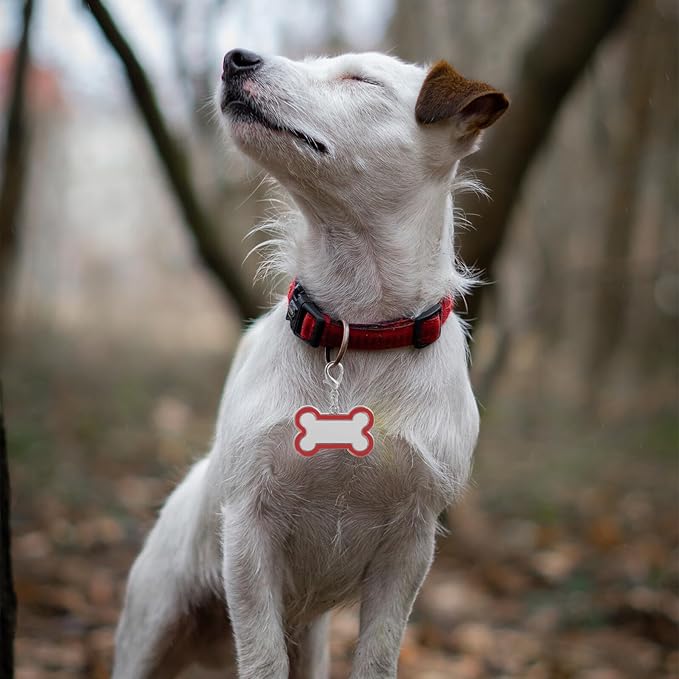 Stainless Steel Pet Id Tag Dog Collar Name Tags Sublimation Blank DIY Pet Supplies