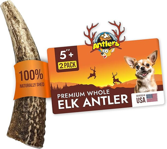 Tibetan Elk Antler for Dogs, Grade-A, 5"+ Premium Chews, Pack of 2, Naturally shed Healthy & Longer Lasting Aggressive chewers, USA Product Antler (Whole)
