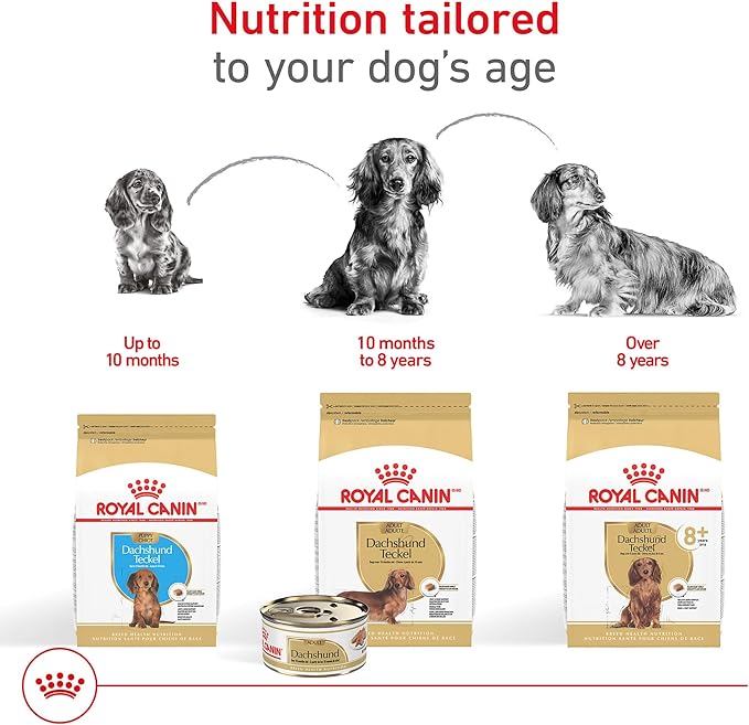 Royal Canin Breed Health Nutrition Dachshund Adult Loaf in Sauce Dog Food, 3 oz (Pack of 24)