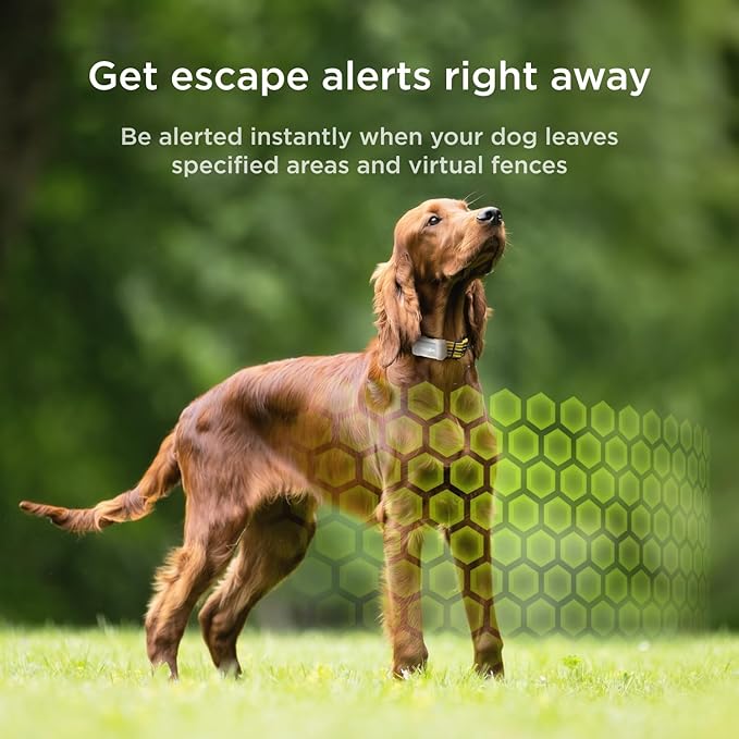Petcube GPS Tracker for Dogs | Pet GPS Location Tracker with Escape Alerts and Virtual Fences, Activity and Wellness Monitoring, Glows in a Dark, Water and Dust Proof