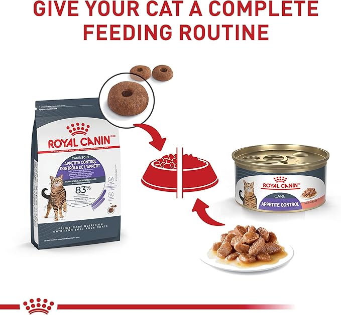 Royal Canin Feline Care Nutrition Appetite Control Care Adult Thin Slices in Gravy Cat Food, 3 oz (Pack of 24)