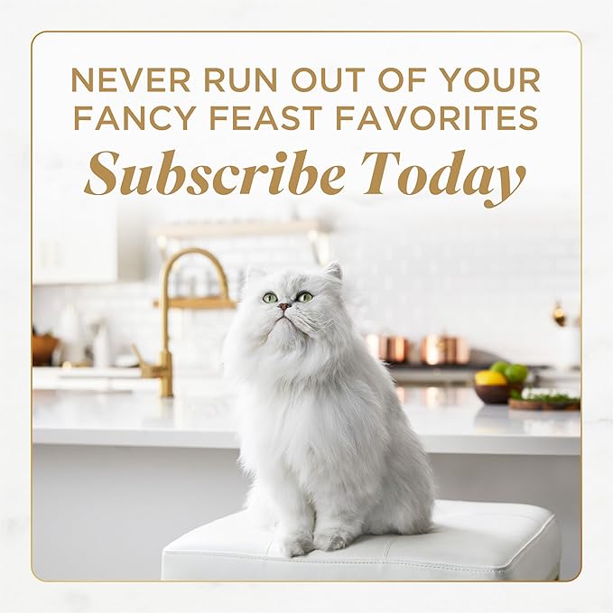 Fancy Feast Purina Savory Centers with Salmon Wet Cat Food Pate with Gourmet Gravy Center - 3 oz. Cans,(Pack of 48)