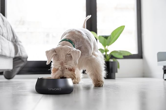Sipworks Stainless Steel Dog Bowl – 32oz Weighted Metal Food and Water Bowls for Dogs and Cats with Non-Slip Base - Pet Bowls for All Breeds Sizes for Travel & Outdoor Play | Cobalt