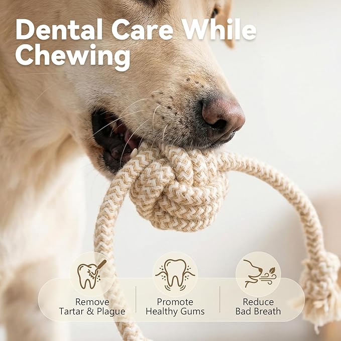 Puppy Chew Toys for Teething, Interactive Rope Toys for Small and Medium Dogs, Fun Chew Rope for Training, L Size