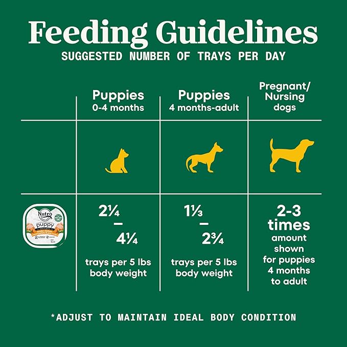 Nutro Puppy Grain Free Dog Food, Natural Wet Dog Food Bites in Gravy Tender Chicken, Sweet Pea & Carrot Recipe, 3.5 oz. Trays (24 Count, Pack of 1)