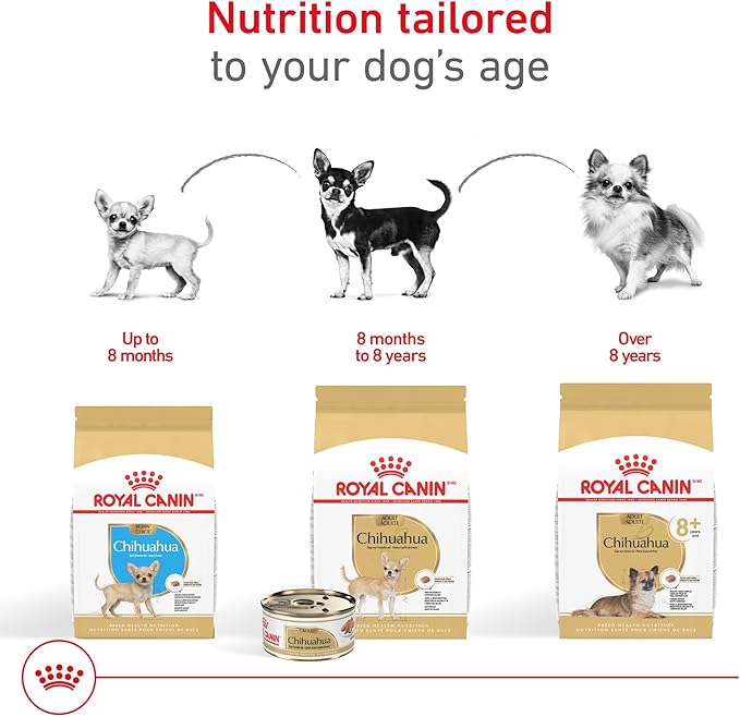 Royal Canin Breed Health Nutrition Chihuahua Adult Loaf in Sauce Dog Food, 3 oz (Pack of 24)