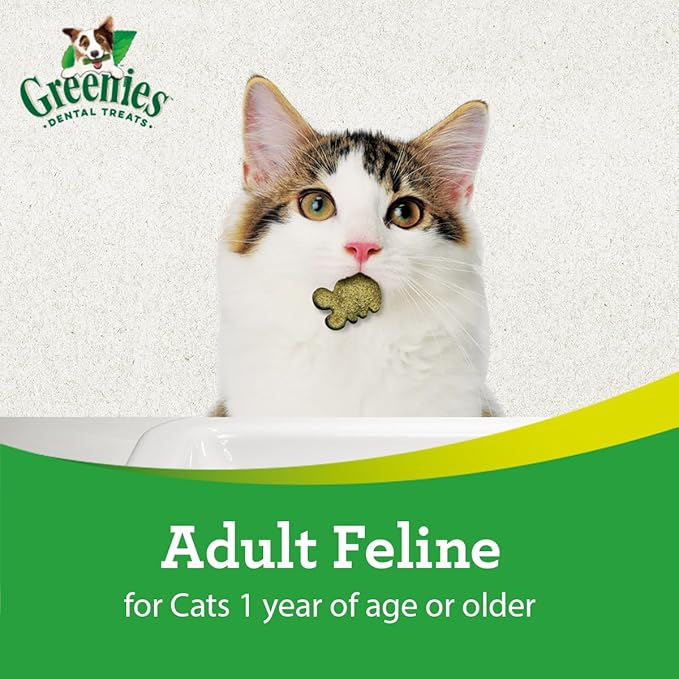 Greenies Cat Treats, Feline Veterinarian-Recommended Adult Natural Dental Treats, Catnip Flavor, 2.1 oz. Pouch