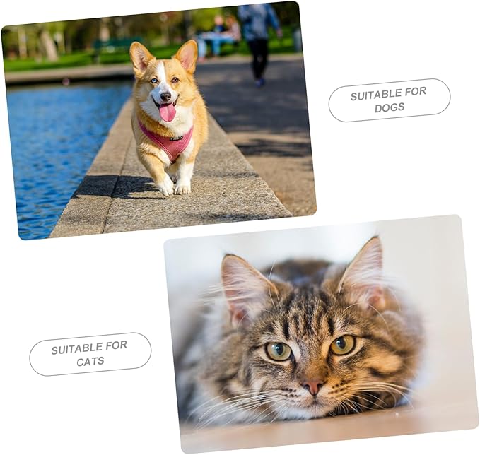 BESPORTBLE Automatic Pet Food Dispenser with High Grade Material Smooth Design for Cats and Pet Supply for Convenient Feeding and Portion Control