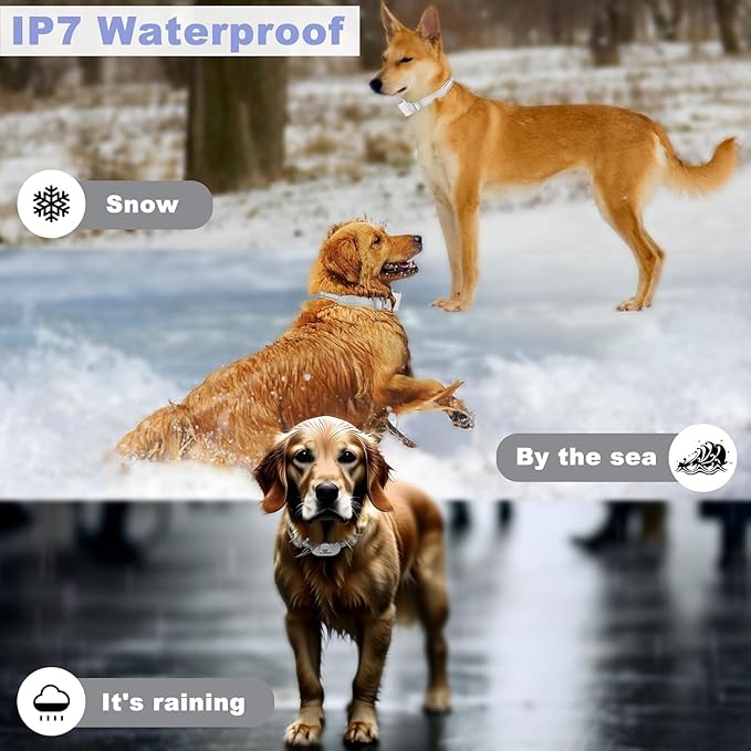 E-FENCE GPS Wireless Dog Collar Fence System, Electric Dog Collar Fence,Pet Containment System Rechargeable, Outdoor Use Only(2 Pack)