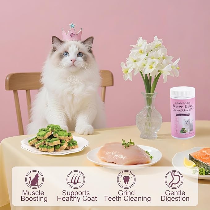 Dylan's cabin Freeze Dried Chicken Cat & Dog Treats - High Protein Spinach Paw with Slamon Training Kitten Snack or Puppy Treats for Coat Gut Healthy, 14pcs