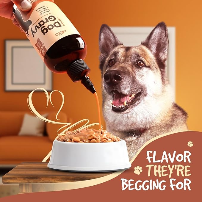 Everyday Dog Gravy - Premium Wet Dog Food Gravy Toppers for Dry Food – Tasty & Nutritious with Essential Vitamins and Supplements – Hip and Joint Supplement (Bacon)