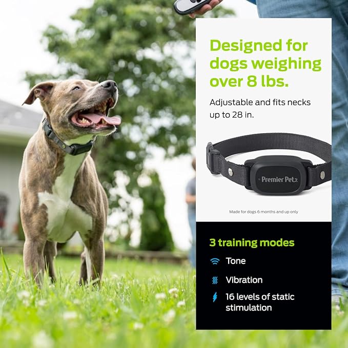 Premier Pet Dog Shock Collar - Safe Behavior Training - 1000ft Long Range Training Shock Collar with Remote - Waterproof Rechargeable Design - 3 Modes - 16 Levels of Static Stimulation