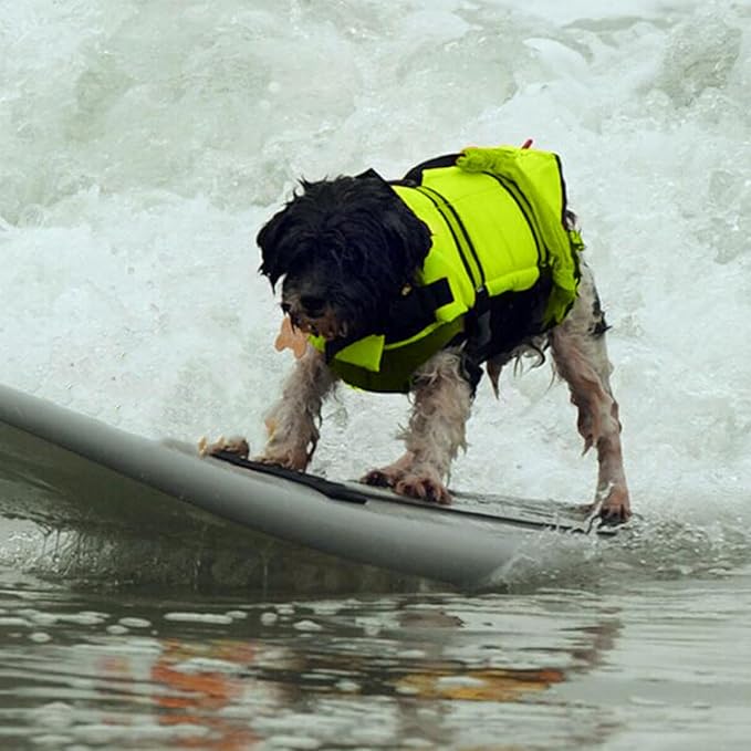 Dog Life Jacket - High Visibility Dog Life Vest, Puppy Rescue Vests, for Swimming & Boating Polyester Pet Supplies for Pool Lake Kayaking Large Small Breeds Puppy Doggy Pool Dock Beach