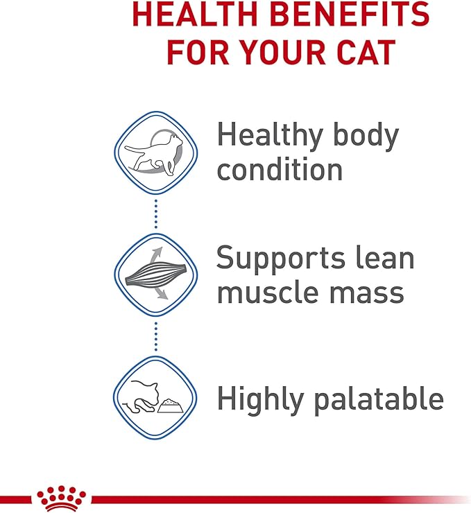 Royal Canin Feline Care Nutrition Weight Care Adult Thin Slices in Gravy Cat Food, 3 oz (Pack of 24)
