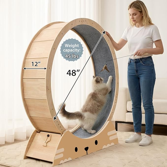 RRPETHOME 48" Cat Wheels for Indoor Cats, Quiet & Stable Cat Exercise Running Wheel, Cats Treadmill with Anti-Slip Mat