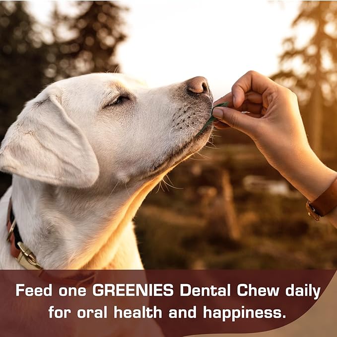 UrbanX HealthyBones Original Natural Dog Dental Care Mint Snacks Oral Health Dog Food for Pug and Other Small Companion Dogs, 15 Count
