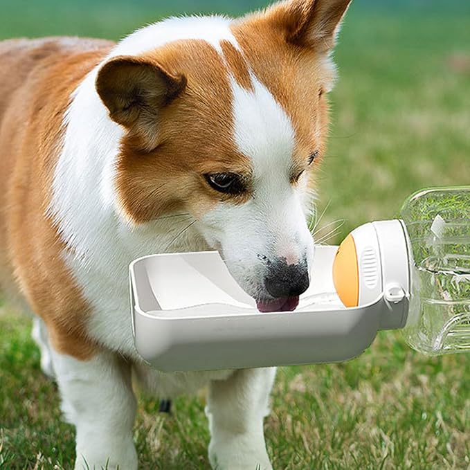 Portable Pet Water Food Feeding Bottles Large Capacity Dog Bottle Travel Food Container Drink Dog Supply Pet