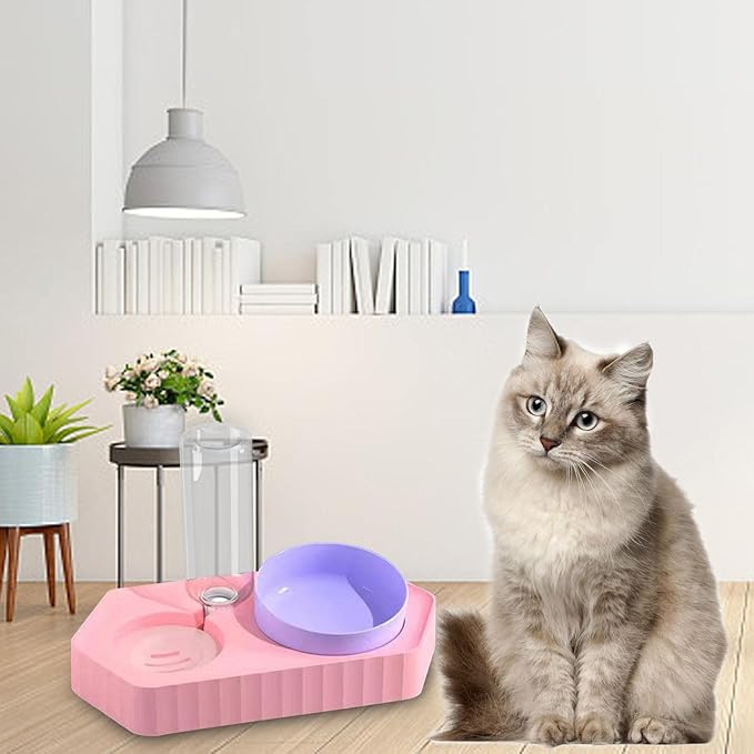 Dog Bowls Drinking Food Container Wet and Dry Food Bowls Set Pet Feeding Station Automatic Pet Feeder for Cats Dogs Supplies, Double Pink
