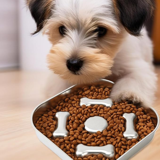 Genérico Slow for Dogs, Stainless Steel Pet Supplies | Puzzle for Dogs and Cats, for Wet and Dry Food, Indoor and Outdoor Use, for