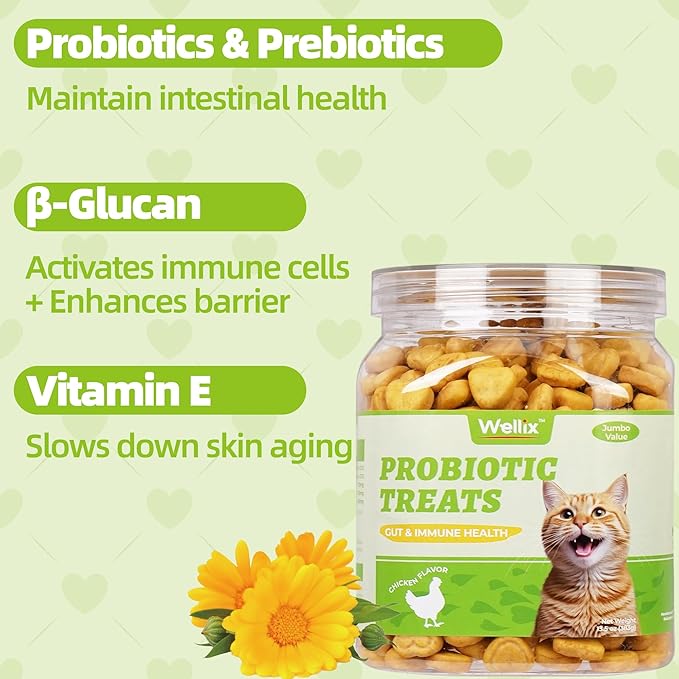 Wellix 13.5oz Probiotic Health Supplement Cat Treats for Indoor Cats - Chicken Flavor Kitten Snacks for Gut+Immune Health - Add Fos & Inulin Cat Training Biscuits