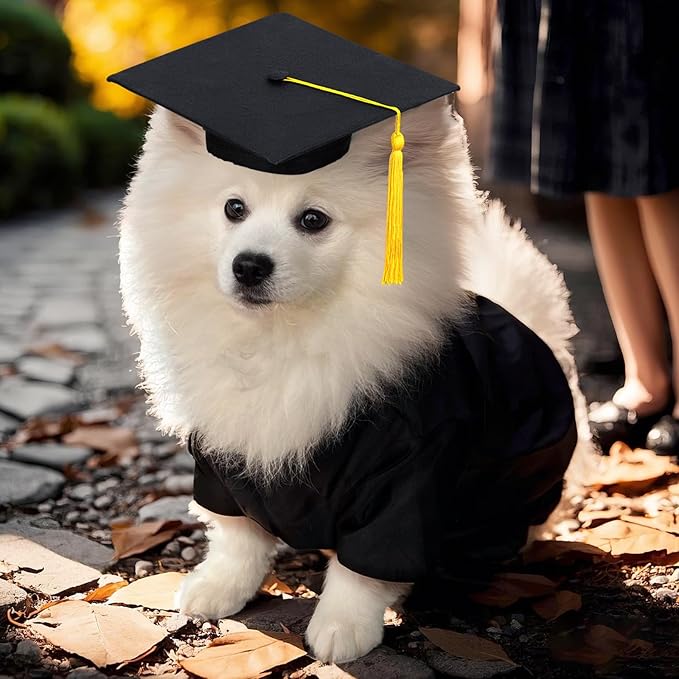 Dog Graduation Cap and Gown Set 2026 - Adjustable Washable Pet Cosplay Costume for Small Medium Large Dogs, Graduation Gift Supplies with Cap Robe Tassel,Dog Graduation Outfits Gifts (Black, Small)