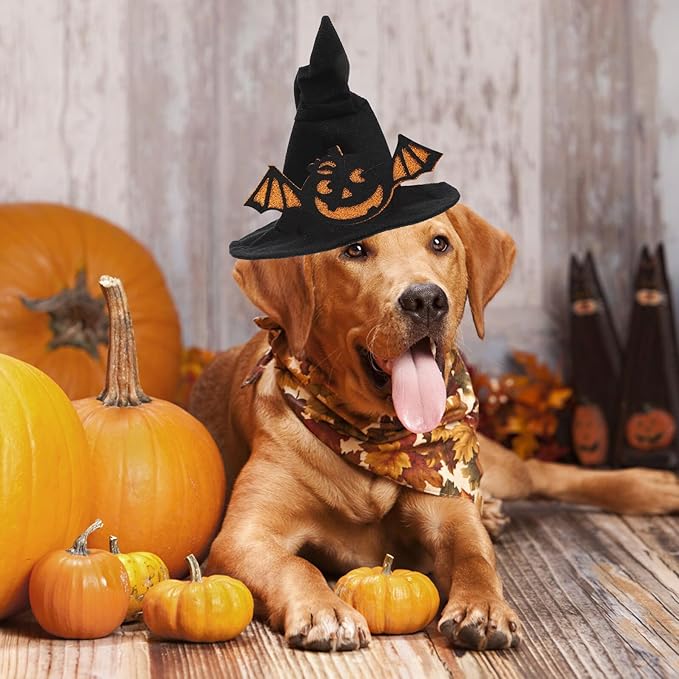 Halloween Pet Hat Black Ghost Bat Design Pet Decor Accessory Small Size for Holiday Costume and Party Supplies