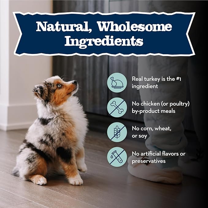 Blue Buffalo Baby Blue Natural Wet Food for Puppies, Healthy Growth Formula with DHA, Turkey & Vegetable Recipe, 12.5-oz. Can
