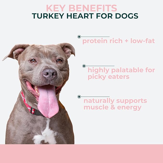 Momentum Carnivore Nutrition Freeze-Dried Turkey Heart Dog Treats & Cat Treats – Single-Ingredient, High-Protein, Grain-Free, Lean & Easily Digestible – Made in USA – 3 oz Bag