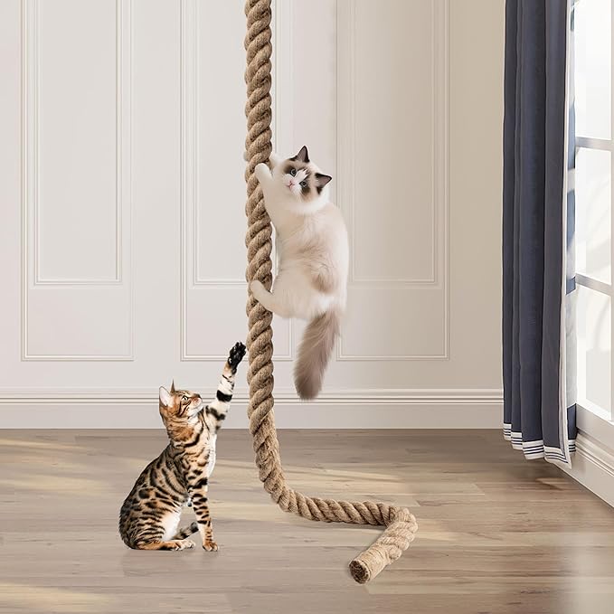 2" x 9.84Ft Cat Climbing Rope with Hook for Ceiling & Wall Mounted, Natural Sisal Rope for Cat Scratcher with Feather Toy for Indoor/Outdoor Cats, Durable Cat Tree Replacement Rope