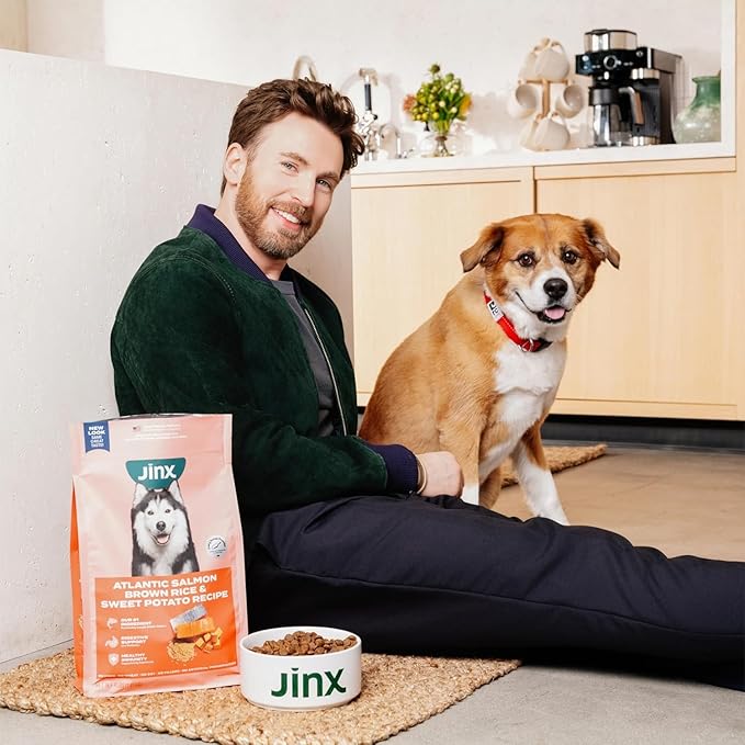 Jinx Kibble Sauce for Dogs - Premium Dog Food Kibble Topper Sauce & Flavor Booster Made with Chicken Bone Broth - All-Natural Ingredients, No Additives or Fillers - 12 Oz (Pack of 2)