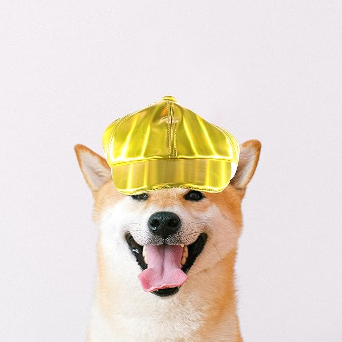 jojofuny Dog Baseball Cap Puppy Hat Pu Material Outdoor Bright Color XL Cute Small Dog Accessory for Pet Supplies