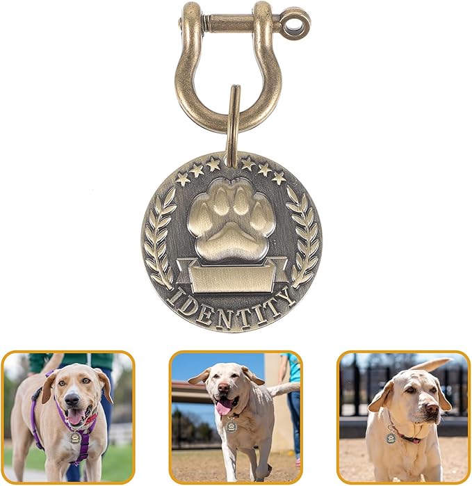Healifty Pet Id Tag Round Metal Pendant with Engraved Name DIY Anti-Lost Dog and Cat Collar Tag Kitten Puppy for Pet Supplies