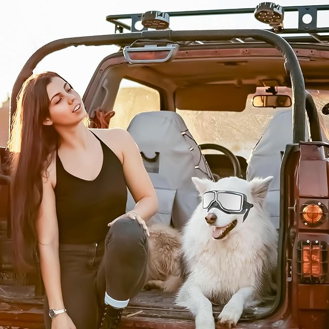 Practical Pet Cats Sunglasses Vacation Outdoor for Small Dogs Cats Pet Photos Tool Swimming Cycling Supply Small Large Sunshines Protections