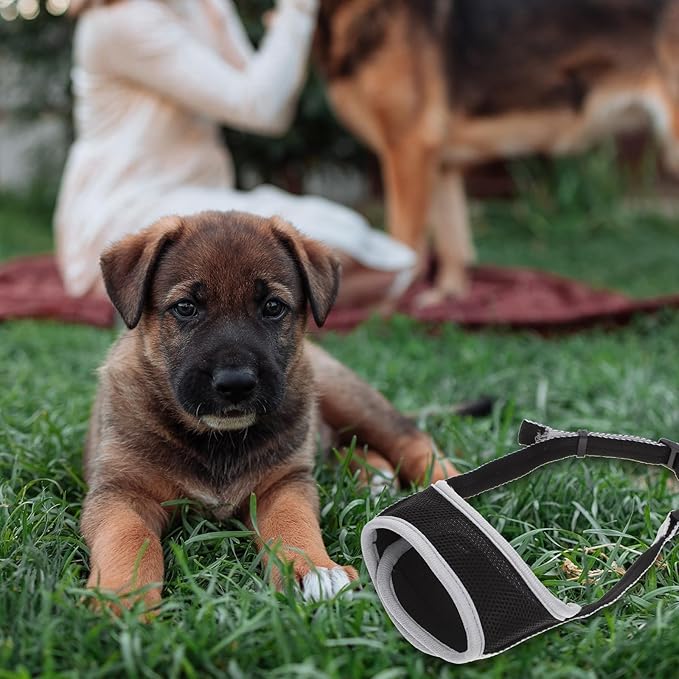 Dog Muzzle Anti-bite Breathable Mesh Muzzle for Large Dogs with Reflective Gray XL Cover Outdoor Training Pet Supply