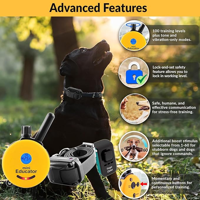 Educator ET-300 1/2-Mile Dog Training E-Collar w/Remote & Night Light,100 Levels Gentle Tapping Stimulation, Pavlovian Tone, Rechargeable & Waterproof, w/Finger Clicker–Small to Large Dogs