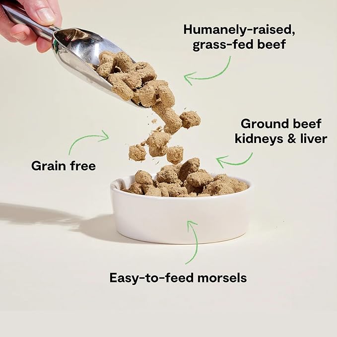 Open Farm, Freeze Dried Raw Dog Food, Morsels with 95% Meat, Organs & Bone, Organic Produce & Superfoods, Complete Meal or Freeze Dried Dog Food Topper, Grass-Fed Beef Recipe, 31.5oz Bag